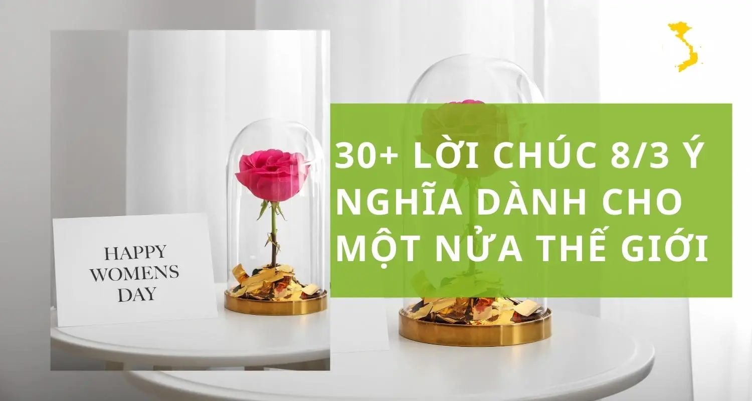 Tổng hợp những lời chúc 8/3 đầy ý nghĩa cho một nửa thế giới