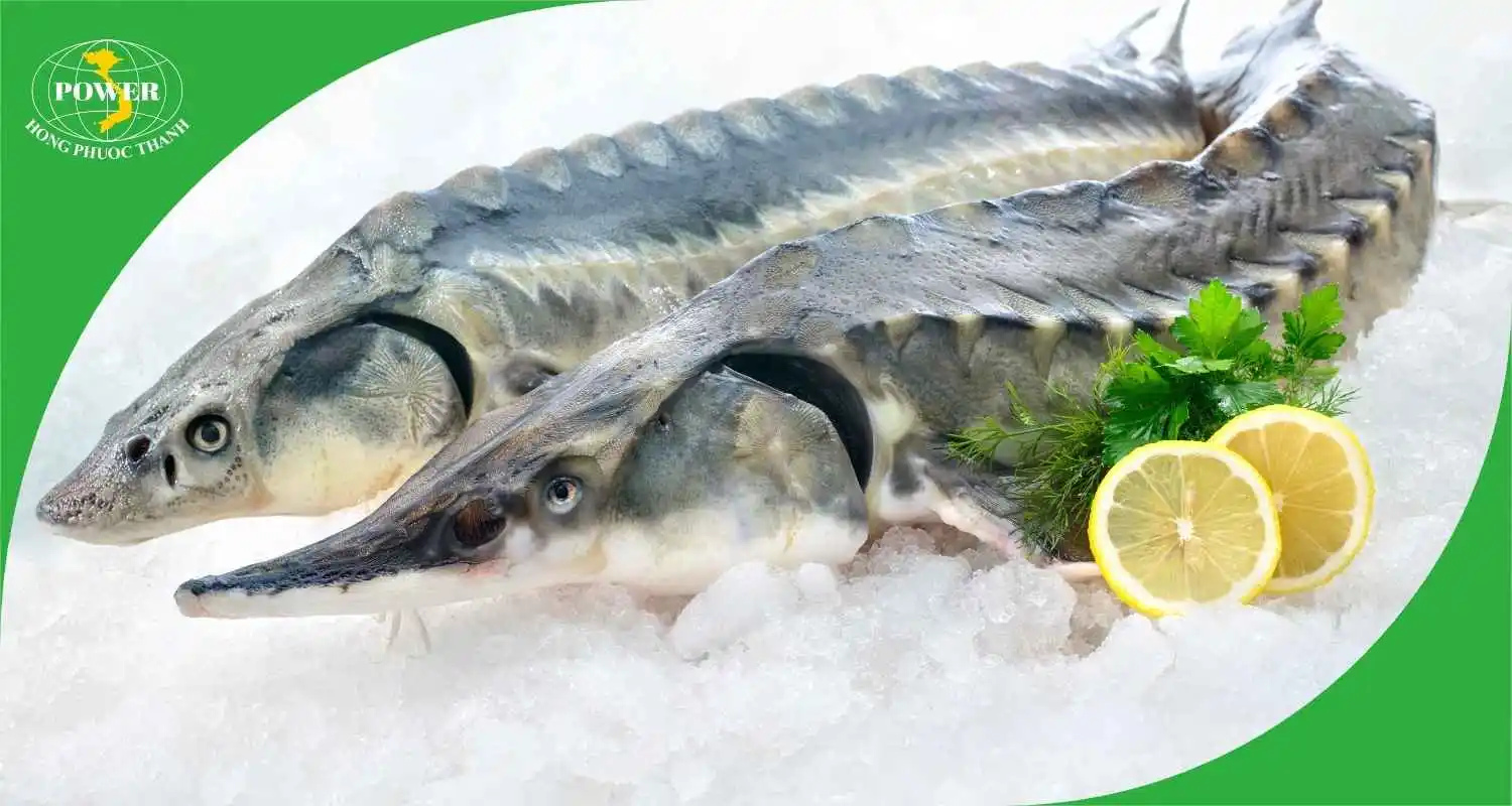 Các nguyên liệu cần chuẩn bị