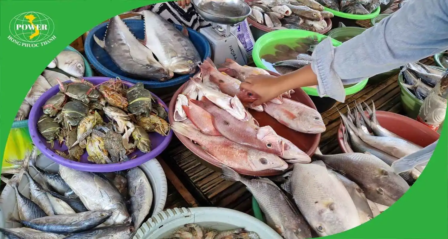 Cách chọn nguyên liệu tươi ngon